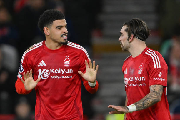 也展现了其 也展现了其